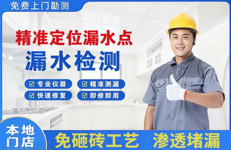 卧龙精准测漏点